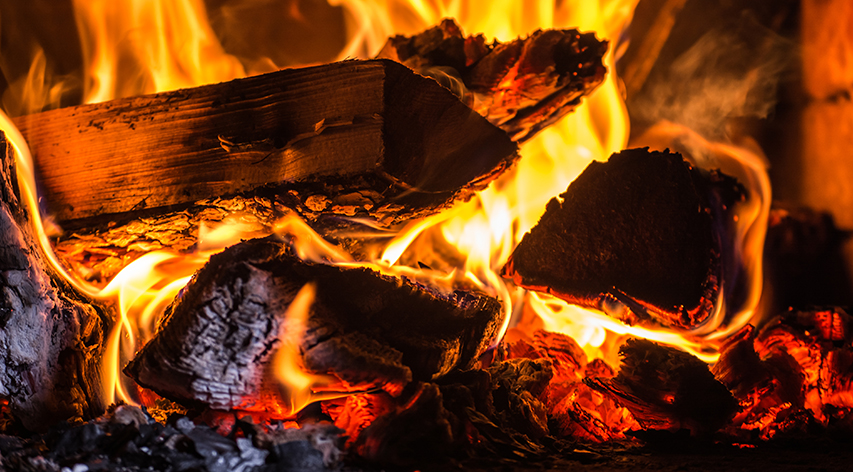 Firewood for sale Beaver Dam