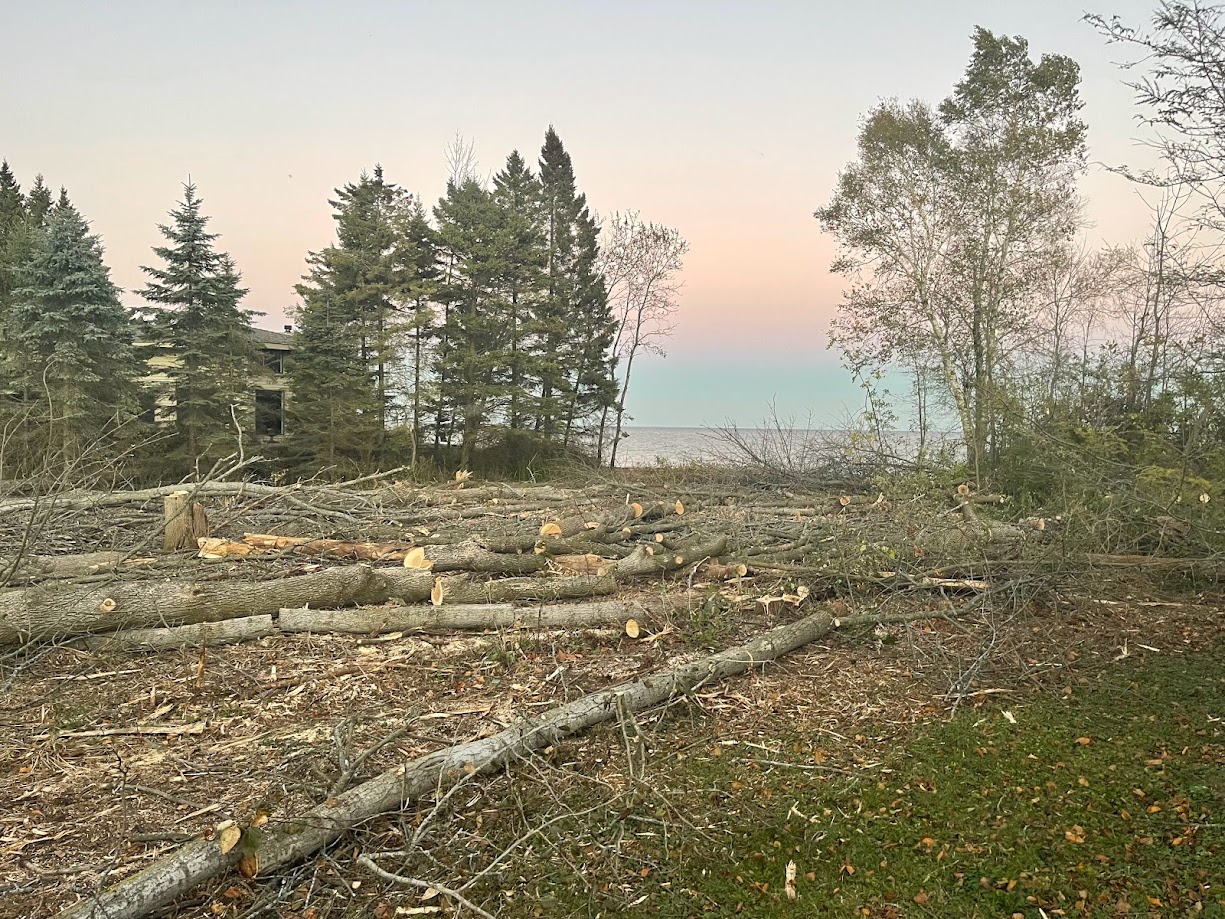Land Clearing Services in Wisconsin