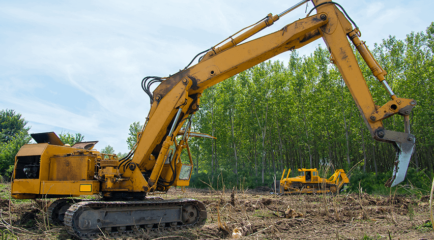 Wisconsin land clearing services (grubbing and forestry)